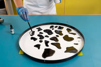 Cow Print Funky Table Cow Spots Thumbnail